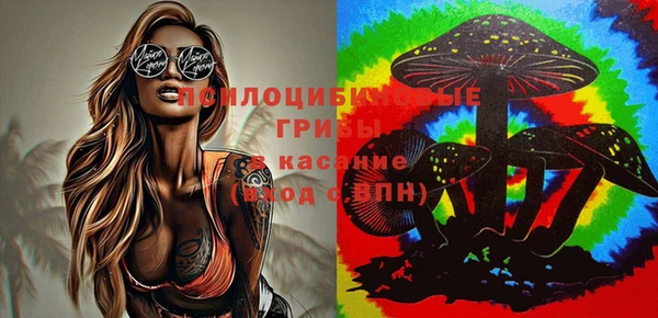 МДМА Бородино