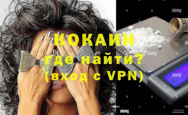 индика Богородск