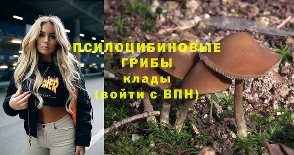 МДПВ Волосово